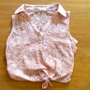 Buckle/Mine Lacy Pink Collared Crop Top